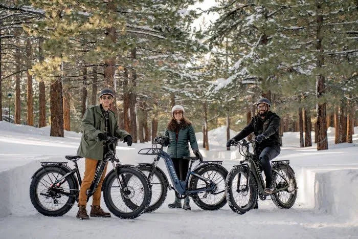 Aventon Aventure 2 Ebike