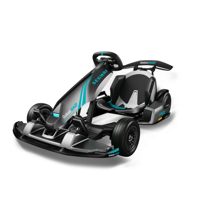 Segway-Ninebot Electric Gokart PRO 2