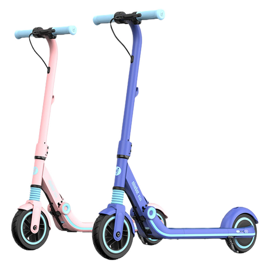 Ninebot Zing E8 Electric Kickscooter for Kids