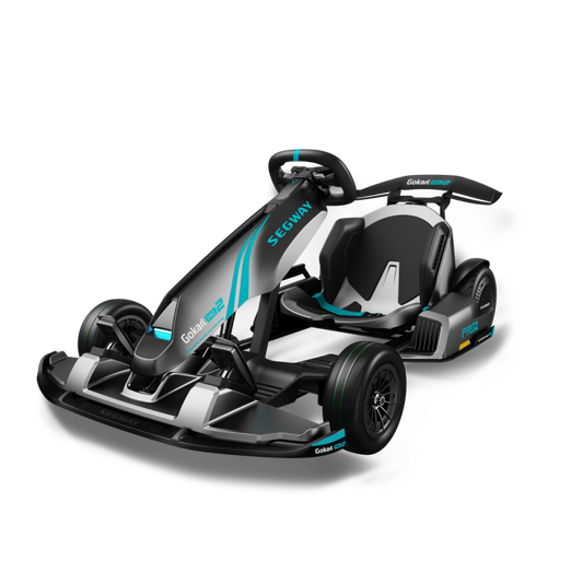 Segway-Ninebot Electric Gokart PRO 2