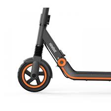 Ninebot Zing E12 Electric Kickscooter for Kids