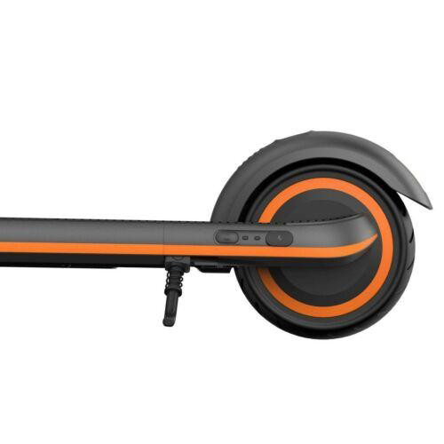 Ninebot Zing E12 Electric Kickscooter for Kids