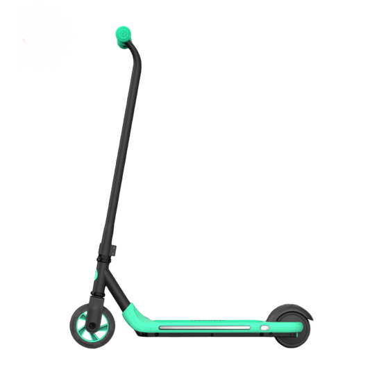 Ninebot Kickscooter Zing A6